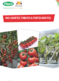 Field Book Tomate & Porte-greffe 22-23