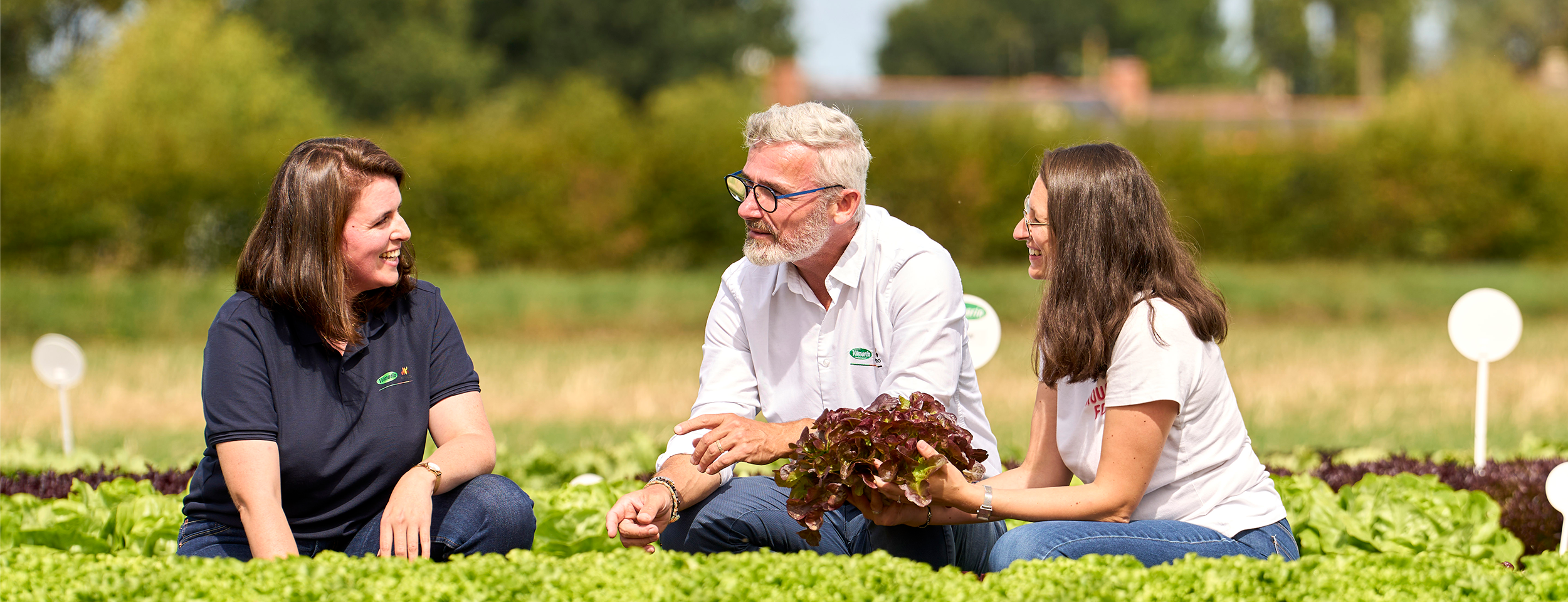 Vilmorin-Mikado Atlas, expert en semences potagères