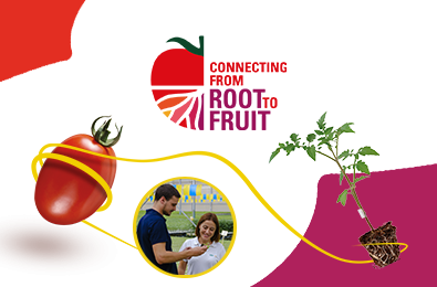 *De la Racine au Fruit Connecting from Root to Fruit