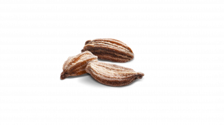 Semences Carotte
