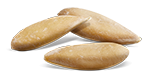 Semences Melon