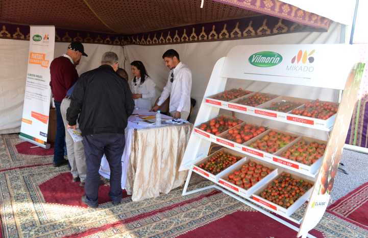 Stand d'accueil Vilmorin-Mikado Atlas  