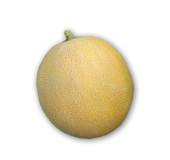 Melon
