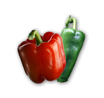 Piment et Poivron