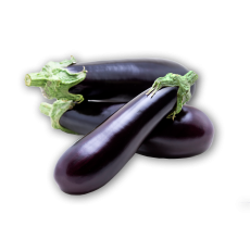 AUBERGINE